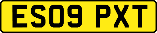 ES09PXT