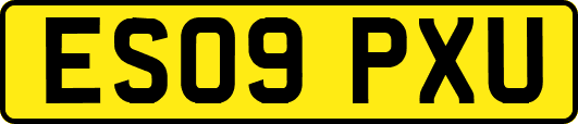 ES09PXU