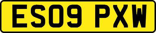 ES09PXW