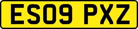 ES09PXZ
