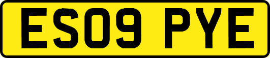 ES09PYE