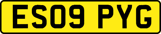 ES09PYG