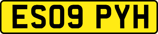 ES09PYH