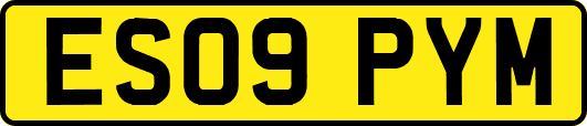 ES09PYM
