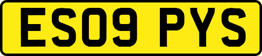 ES09PYS