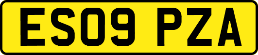 ES09PZA