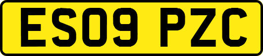 ES09PZC