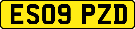 ES09PZD