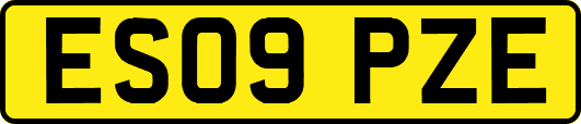 ES09PZE