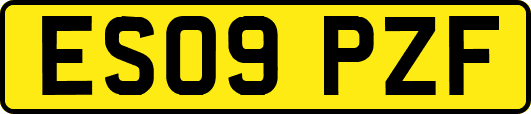 ES09PZF