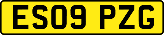 ES09PZG