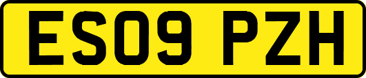 ES09PZH