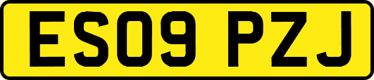 ES09PZJ