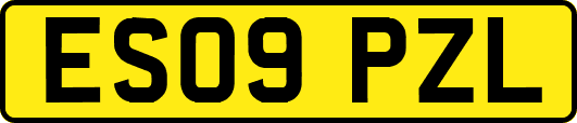 ES09PZL