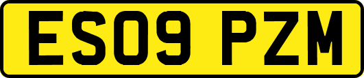 ES09PZM