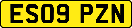 ES09PZN