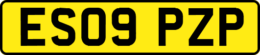 ES09PZP