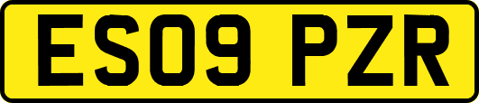 ES09PZR