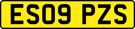 ES09PZS