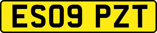 ES09PZT