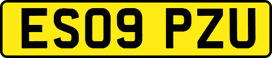 ES09PZU