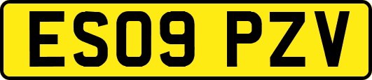 ES09PZV