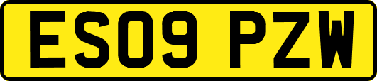 ES09PZW
