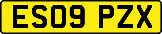 ES09PZX