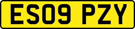 ES09PZY