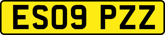 ES09PZZ