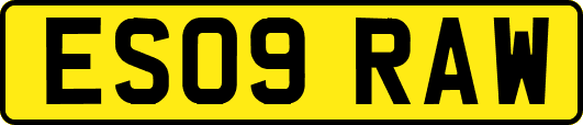 ES09RAW