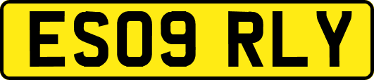 ES09RLY
