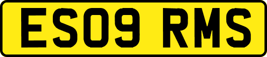 ES09RMS