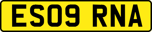 ES09RNA