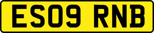 ES09RNB