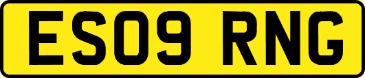 ES09RNG