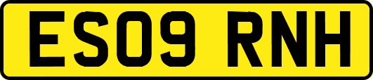 ES09RNH