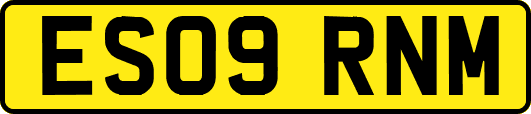 ES09RNM
