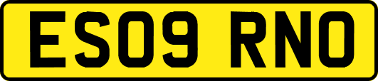ES09RNO