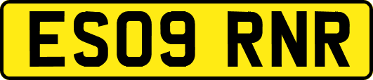 ES09RNR