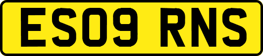 ES09RNS