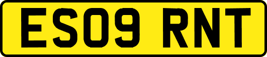 ES09RNT