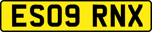 ES09RNX