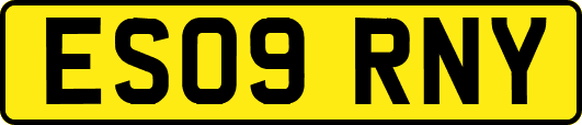 ES09RNY