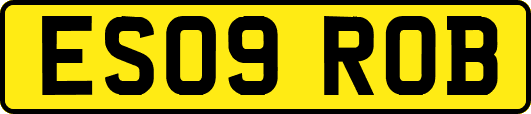 ES09ROB