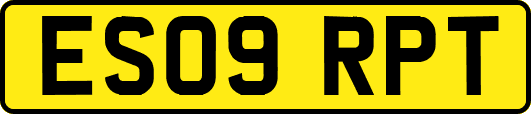 ES09RPT