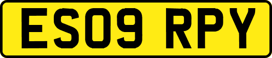 ES09RPY