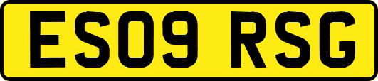 ES09RSG