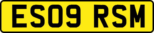 ES09RSM