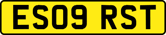ES09RST